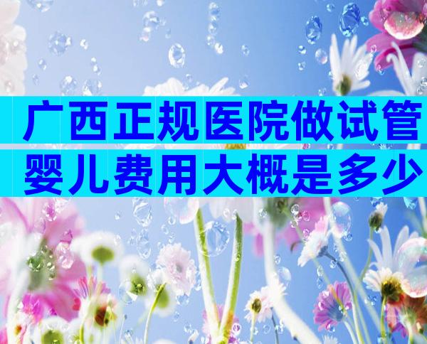 广西正规医院做试管婴儿费用大概是多少