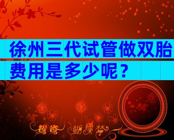 徐州三代试管做双胎费用是多少呢？