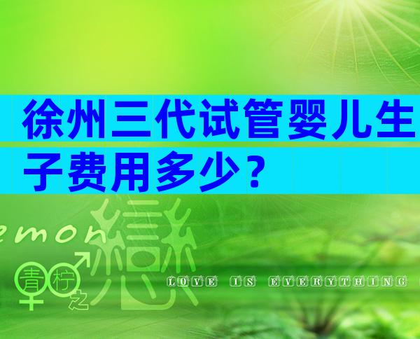 徐州三代试管婴儿生子费用多少？