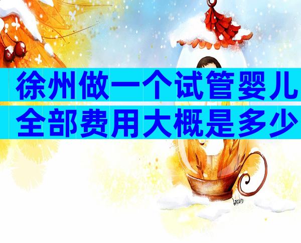 徐州做一个试管婴儿全部费用大概是多少