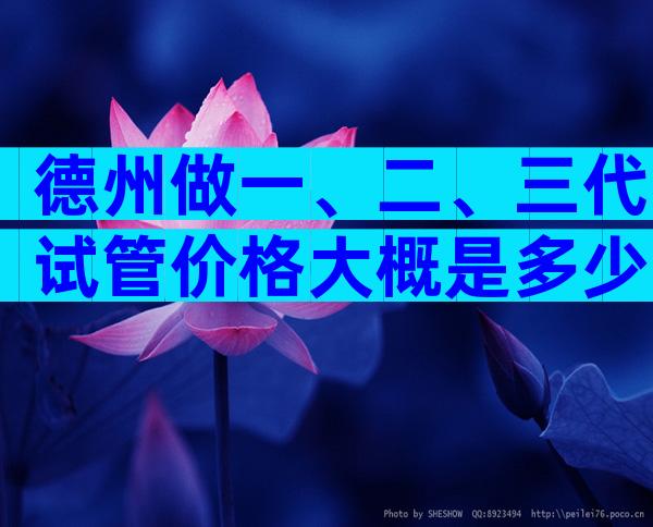 德州做一、二、三代试管价格大概是多少？