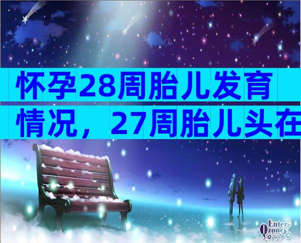 怀孕28周胎儿发育情况，27周胎儿头在哪个位置？