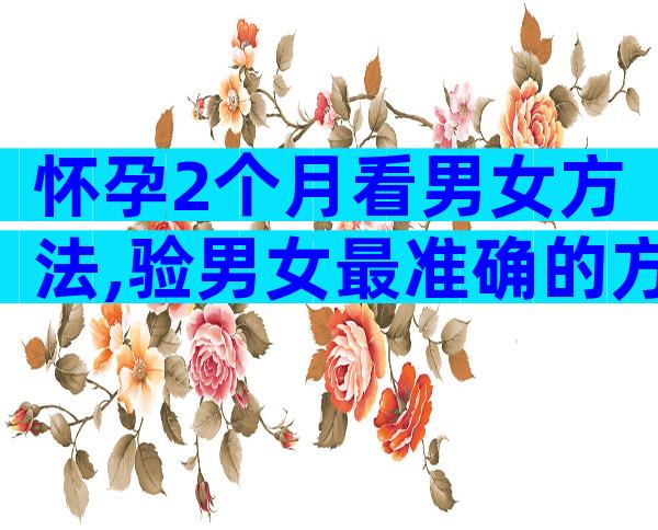 怀孕2个月看男女方法,验男女最准确的方法要了解