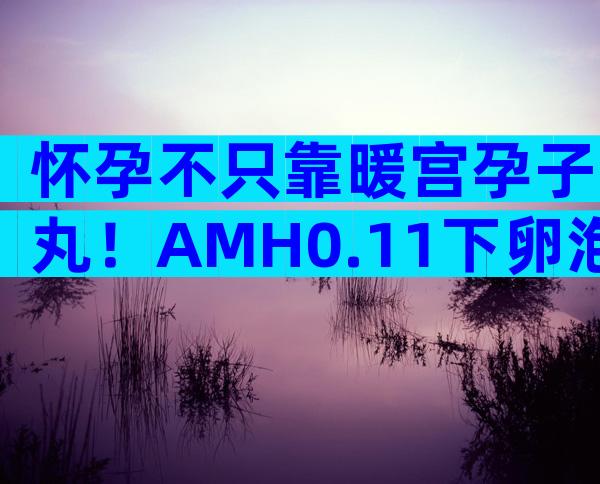 怀孕不只靠暖宫孕子丸！AMH0.11下卵泡数量才是决定因素！