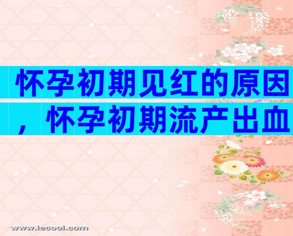 怀孕初期见红的原因，怀孕初期流产出血多吗？