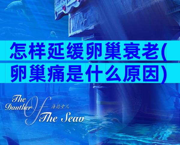 怎样延缓卵巢衰老(卵巢痛是什么原因)