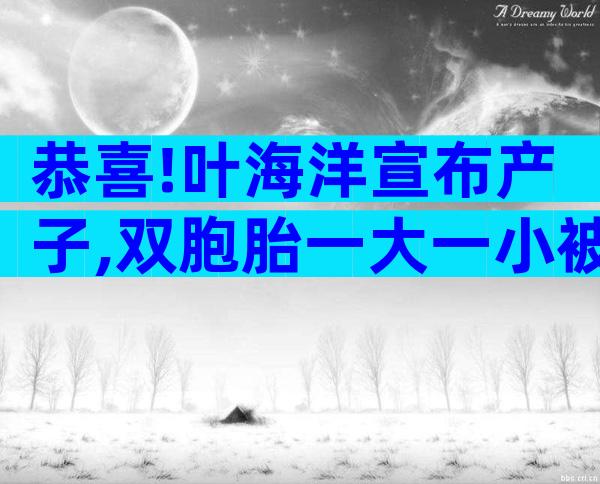恭喜!叶海洋宣布产子,双胞胎一大一小被质疑,四个娃同一个父亲