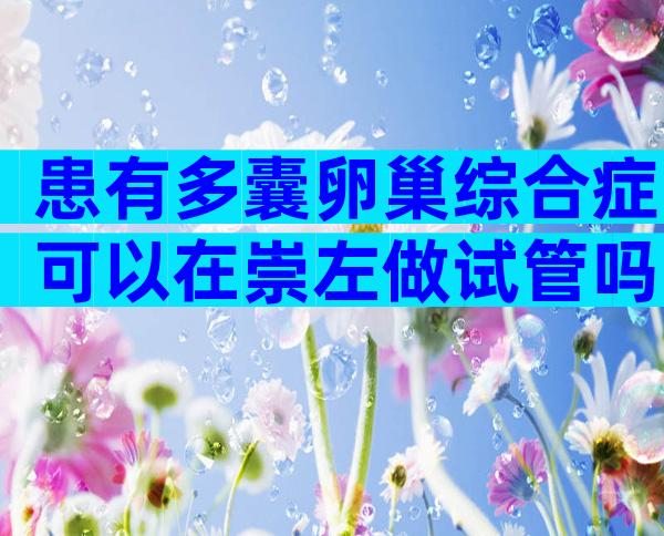 患有多囊卵巢综合症可以在崇左做试管吗附成功率及注意事项