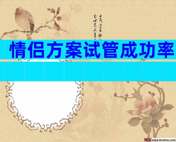 情侣方案试管成功率
