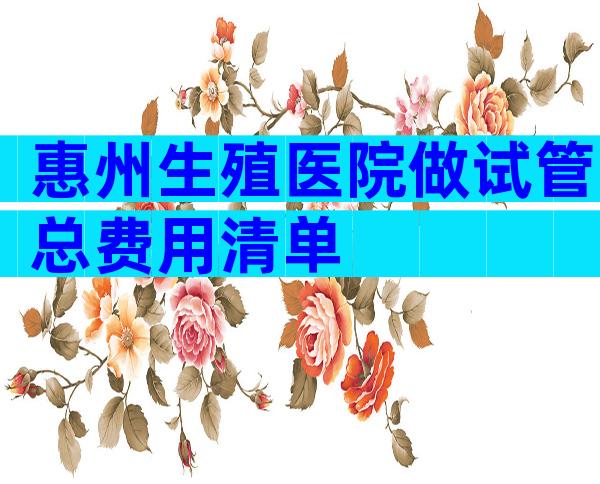 惠州生殖医院做试管总费用清单