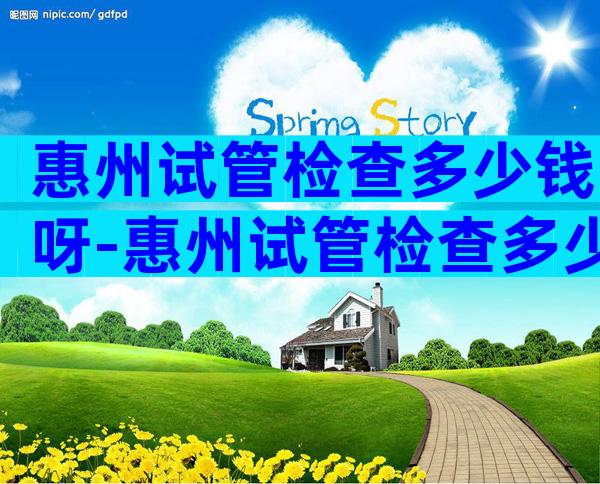 惠州试管检查多少钱呀-惠州试管检查多少钱呀