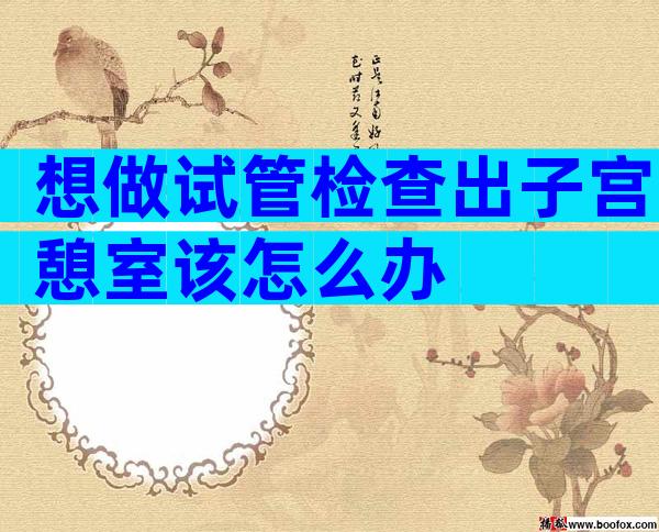 想做试管检查出子宫憩室该怎么办