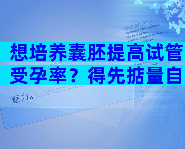 想培养囊胚提高试管受孕率？得先掂量自己的“卵量”！