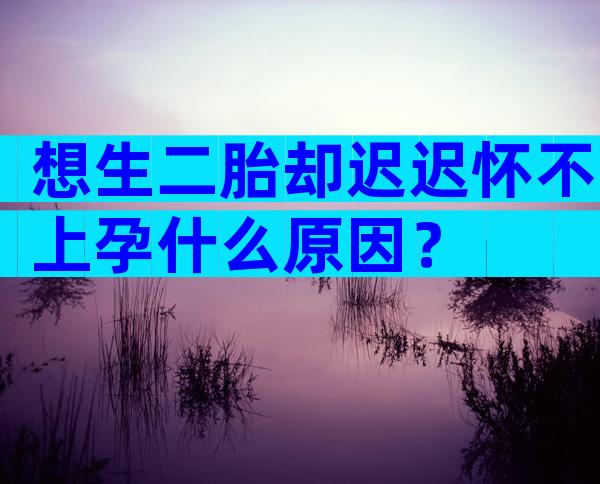 想生二胎却迟迟怀不上孕什么原因？