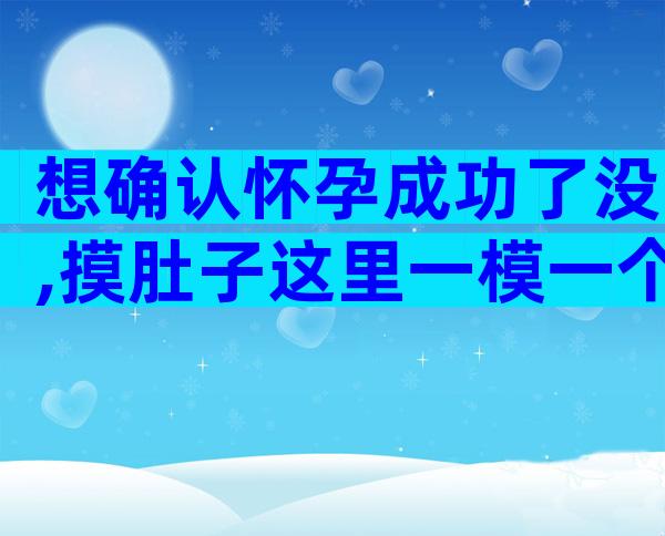 想确认怀孕成功了没,摸肚子这里一模一个准