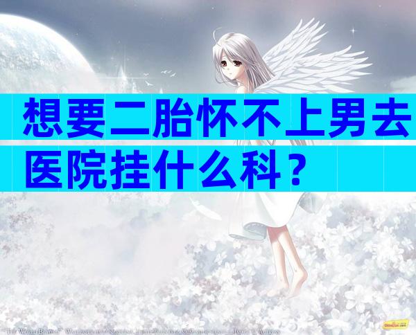 想要二胎怀不上男去医院挂什么科？