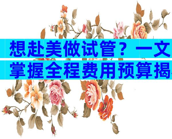 想赴美做试管？一文掌握全程费用预算揭秘！