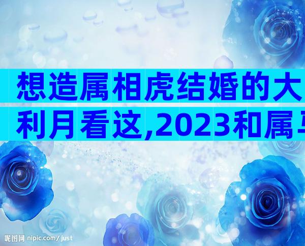 想造属相虎结婚的大利月看这,2023和属马相合且恩爱