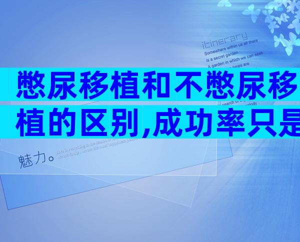 憋尿移植和不憋尿移植的区别,成功率只是其中一点