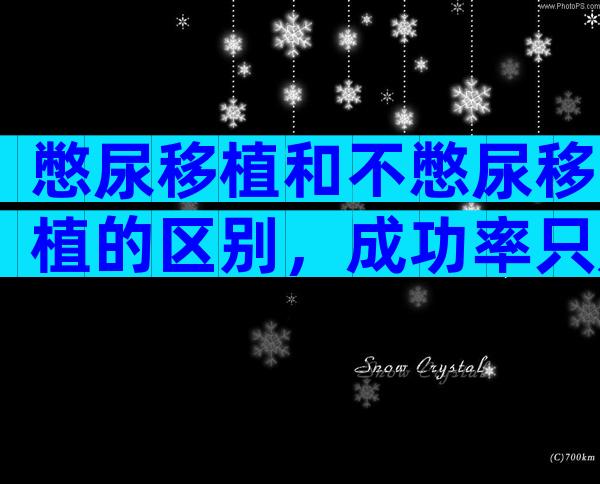 憋尿移植和不憋尿移植的区别，成功率只是其中一点