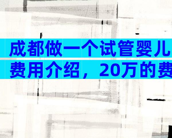 成都做一个试管婴儿费用介绍，20万的费用够吗？