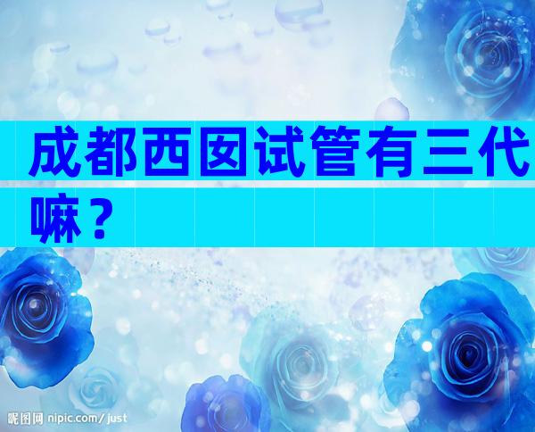 成都西囡试管有三代嘛？