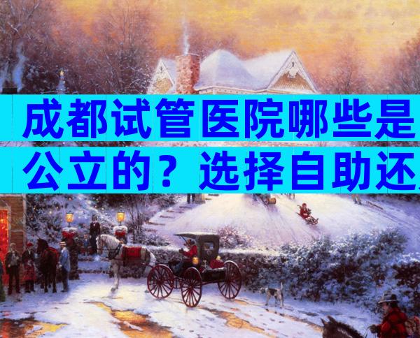 成都试管医院哪些是公立的？选择自助还是中介