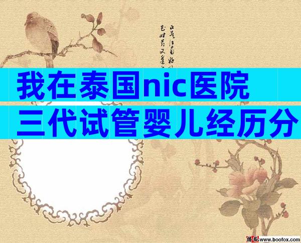 我在泰国nic医院三代试管婴儿经历分享
