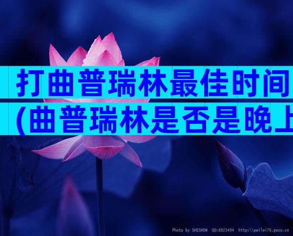 打曲普瑞林最佳时间(曲普瑞林是否是晚上打)