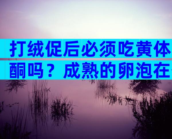 打绒促后必须吃黄体酮吗？成熟的卵泡在体内能存活多久？