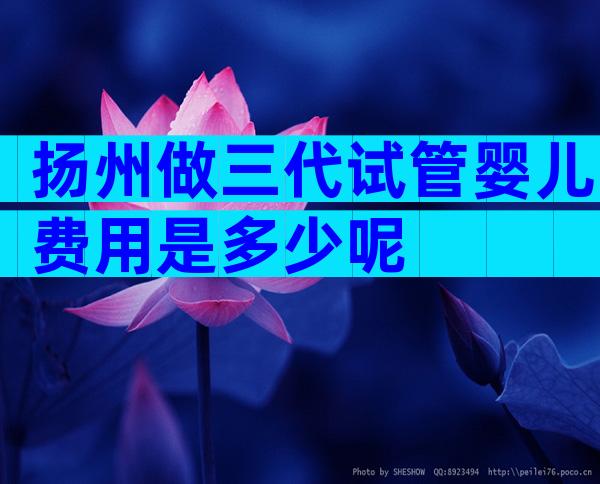 扬州做三代试管婴儿费用是多少呢