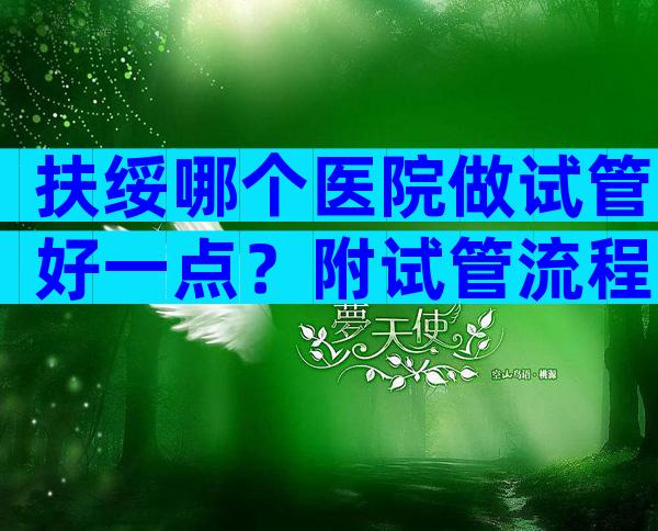 扶绥哪个医院做试管好一点？附试管流程大全