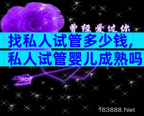 找私人试管多少钱,私人试管婴儿成熟吗