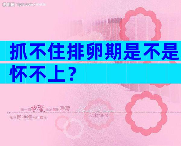 抓不住排卵期是不是怀不上？