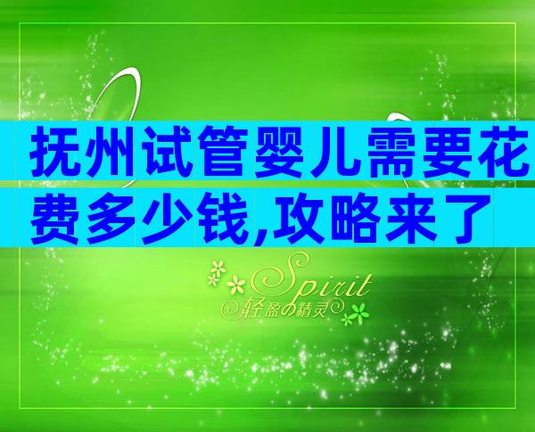 抚州试管婴儿需要花费多少钱,攻略来了