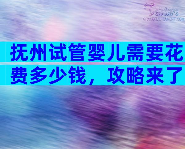 抚州试管婴儿需要花费多少钱，攻略来了