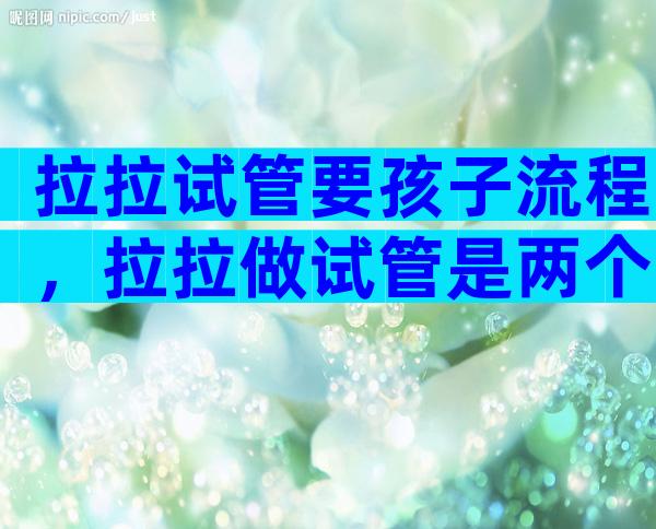 拉拉试管要孩子流程，拉拉做试管是两个人的孩子吗？