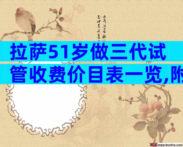 拉萨51岁做三代试管收费价目表一览,附生子省钱攻略!