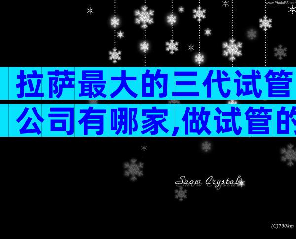 拉萨最大的三代试管公司有哪家,做试管的经历