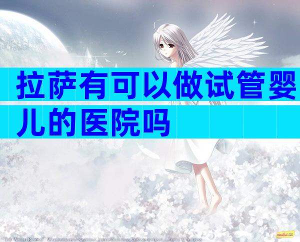 拉萨有可以做试管婴儿的医院吗