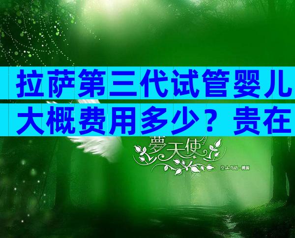 拉萨第三代试管婴儿大概费用多少？贵在哪里一看便知