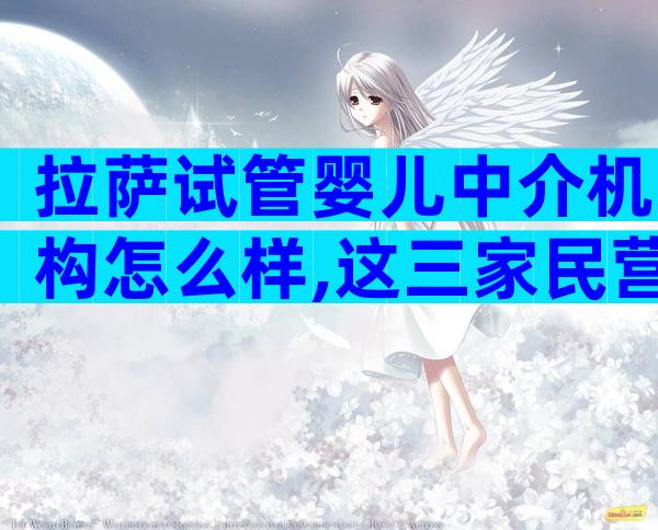 拉萨试管婴儿中介机构怎么样,这三家民营机构都很好