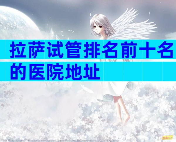 拉萨试管排名前十名的医院地址