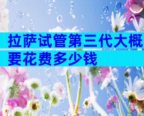 拉萨试管第三代大概要花费多少钱