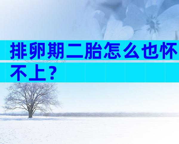 排卵期二胎怎么也怀不上？