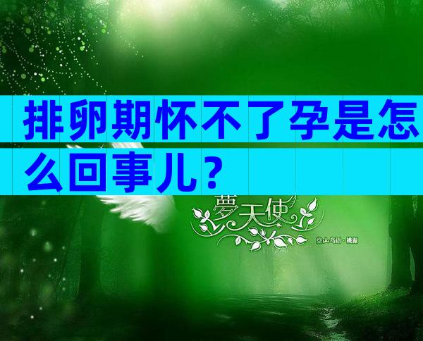 排卵期怀不了孕是怎么回事儿？