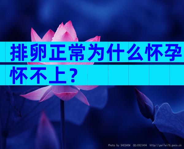 排卵正常为什么怀孕怀不上？