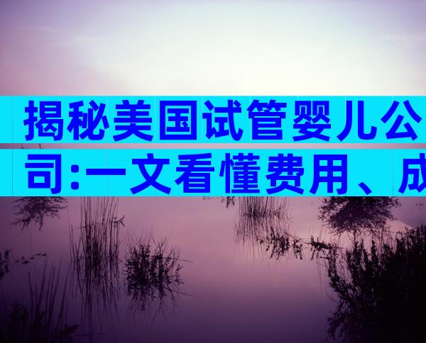 揭秘美国试管婴儿公司:一文看懂费用、成功率与服务优势