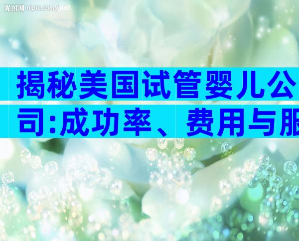 揭秘美国试管婴儿公司:成功率、费用与服务全攻略