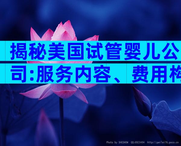 揭秘美国试管婴儿公司:服务内容、费用构成与成功率全解析